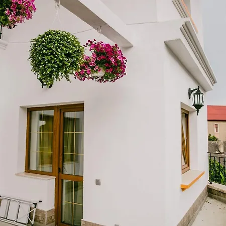 Pensiunea Europa Guest house