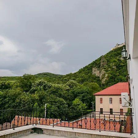 Pensiunea Europa Guest house Deva
