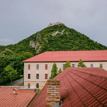 Guest house Pensiunea Europa 3*