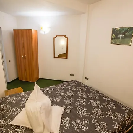 Guest house Pensiunea Europa 3*