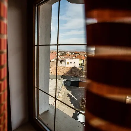 Guest house Pensiunea Europa 3*